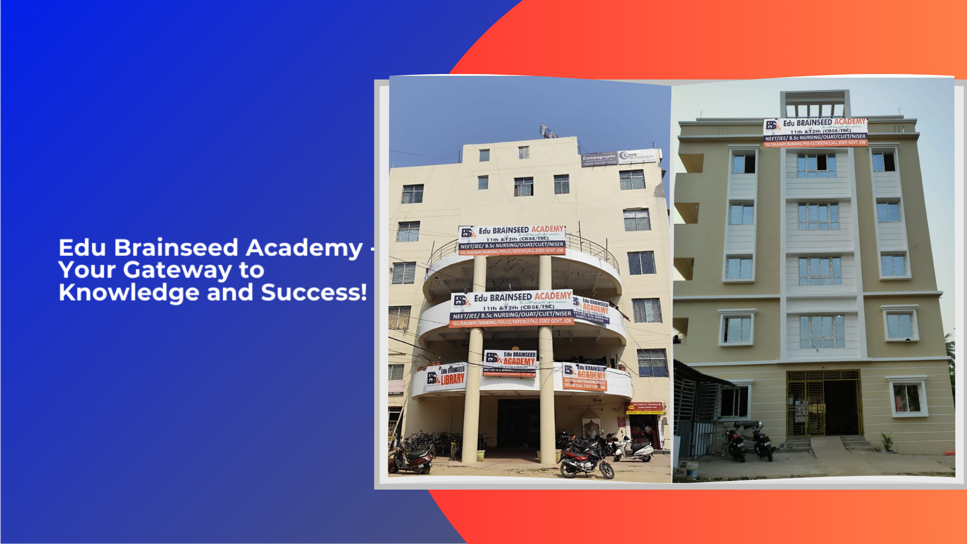 Brainseed Academy Banner 1